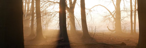 douwevanschie Profile Banner