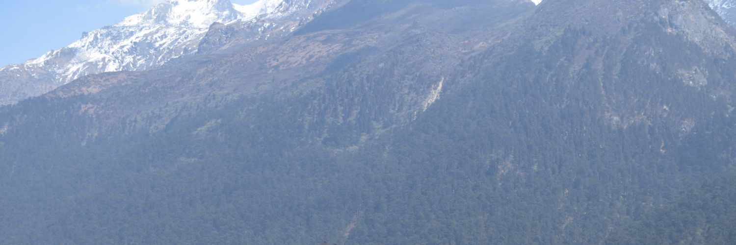 alokpatro09's profile banner image