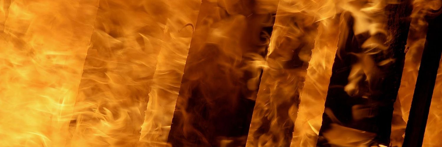 CarberryFire's profile banner image