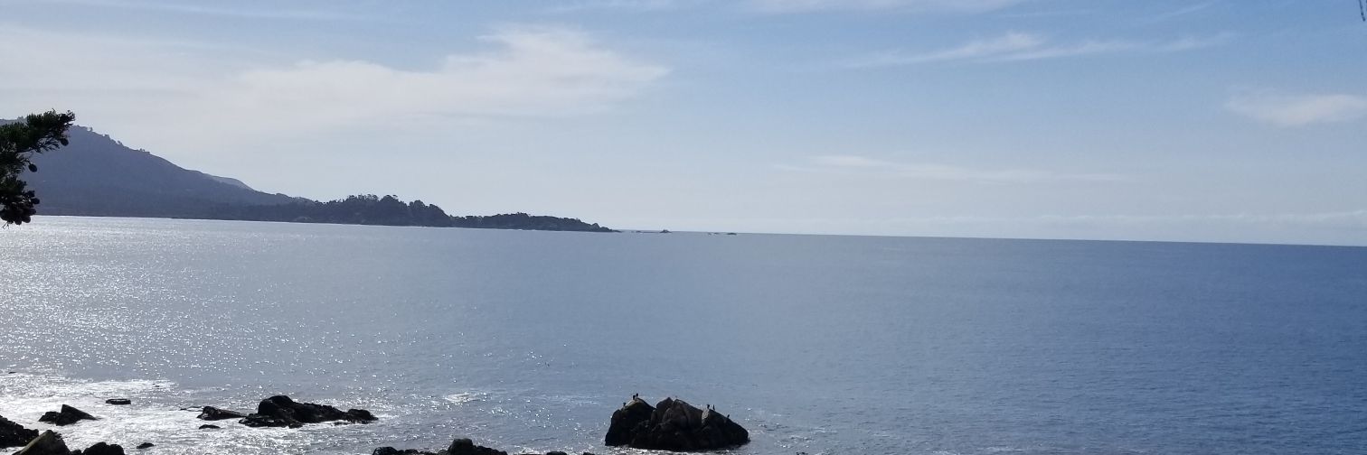 vidlook's profile banner image