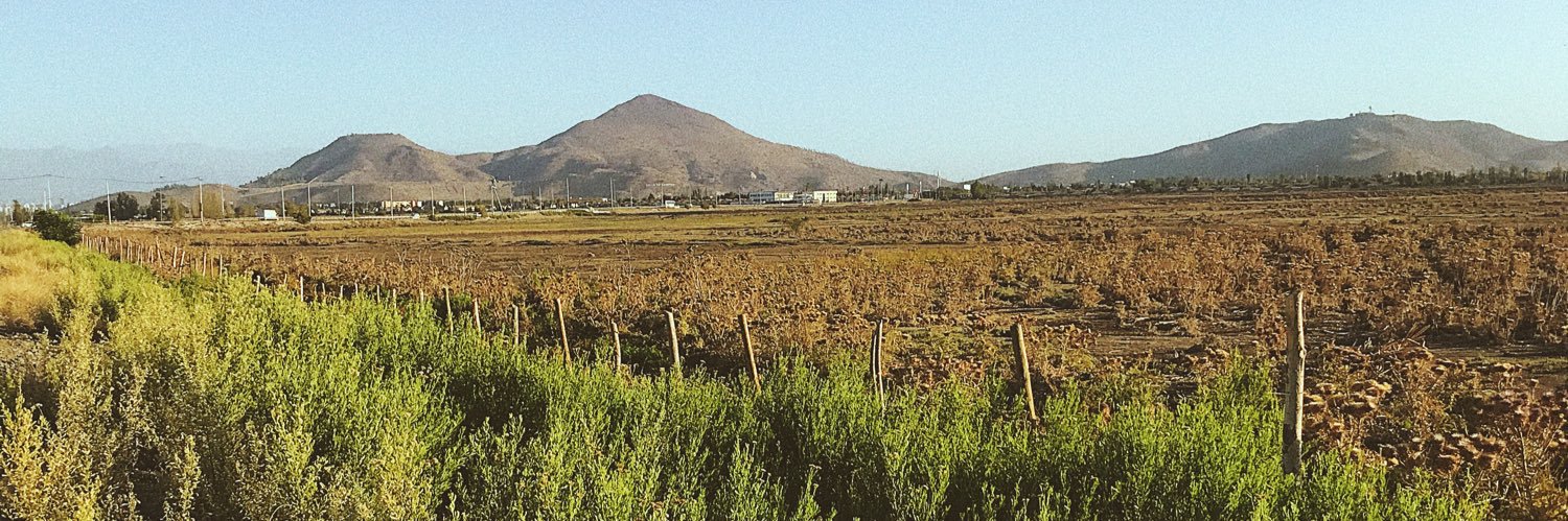 Mariano Reyes C banner