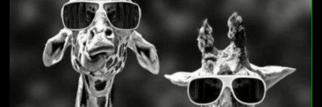 ernestsancho's profile banner image