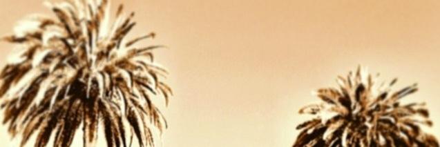 lesliehinde's profile banner image