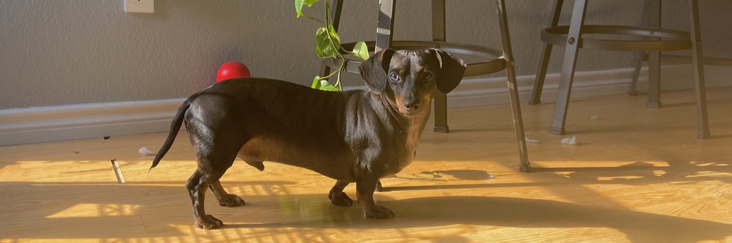 abbybeans10's profile banner image