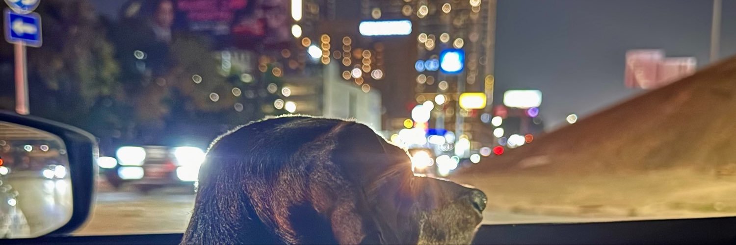 abbybeanss's profile banner image