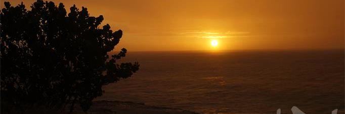 pirio099's profile banner image