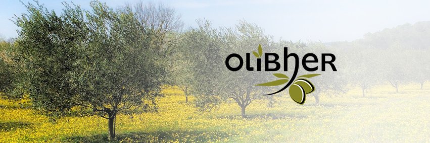 Aceitunas Olibher banner