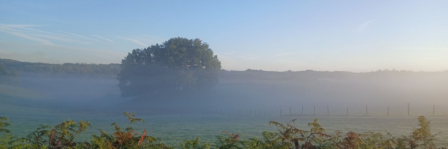 Wouter Schaap banner