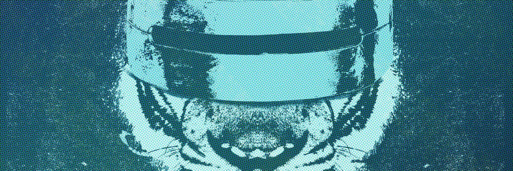 ElBlairou's profile banner image