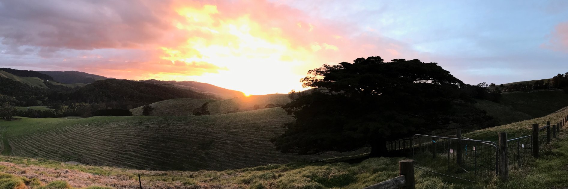 sashatorsi's profile banner image