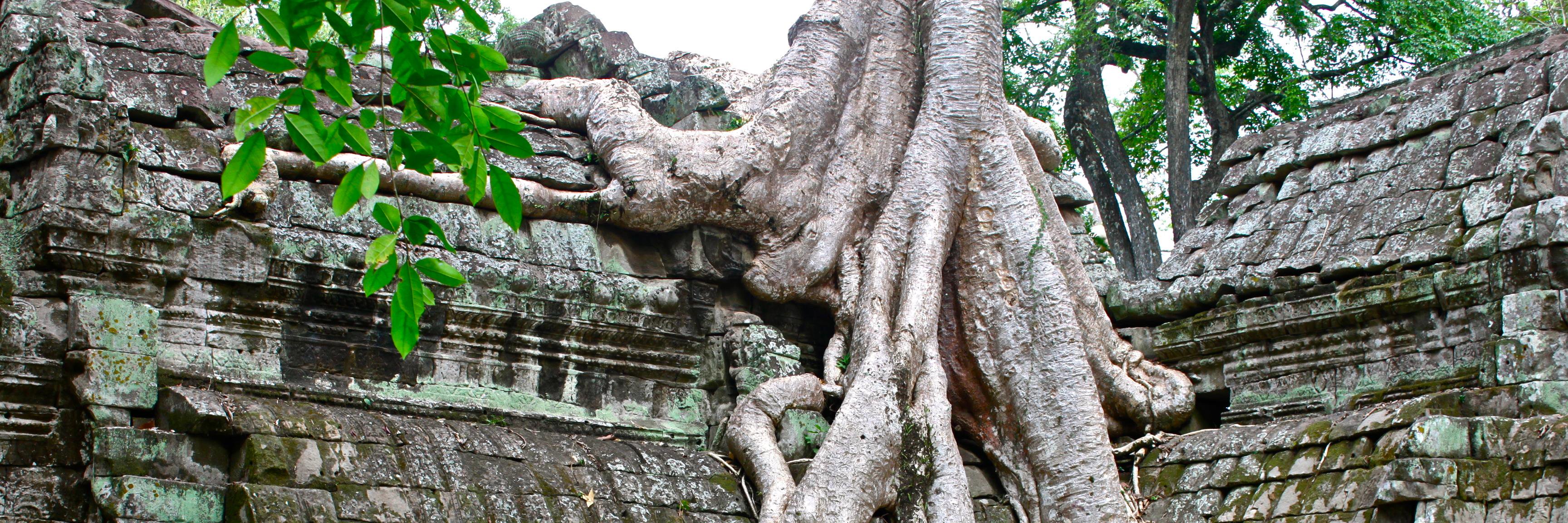 LTTravelDude's profile banner image