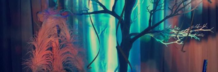 Alhaddaf14's profile banner image