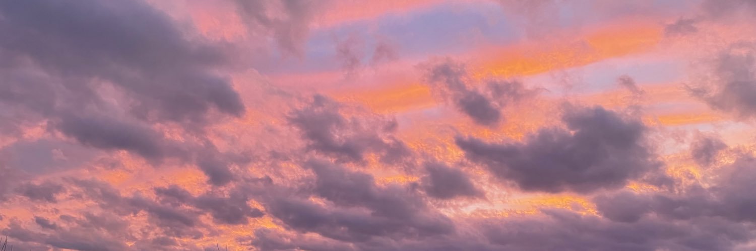 Sarah_Rodricks's profile banner image