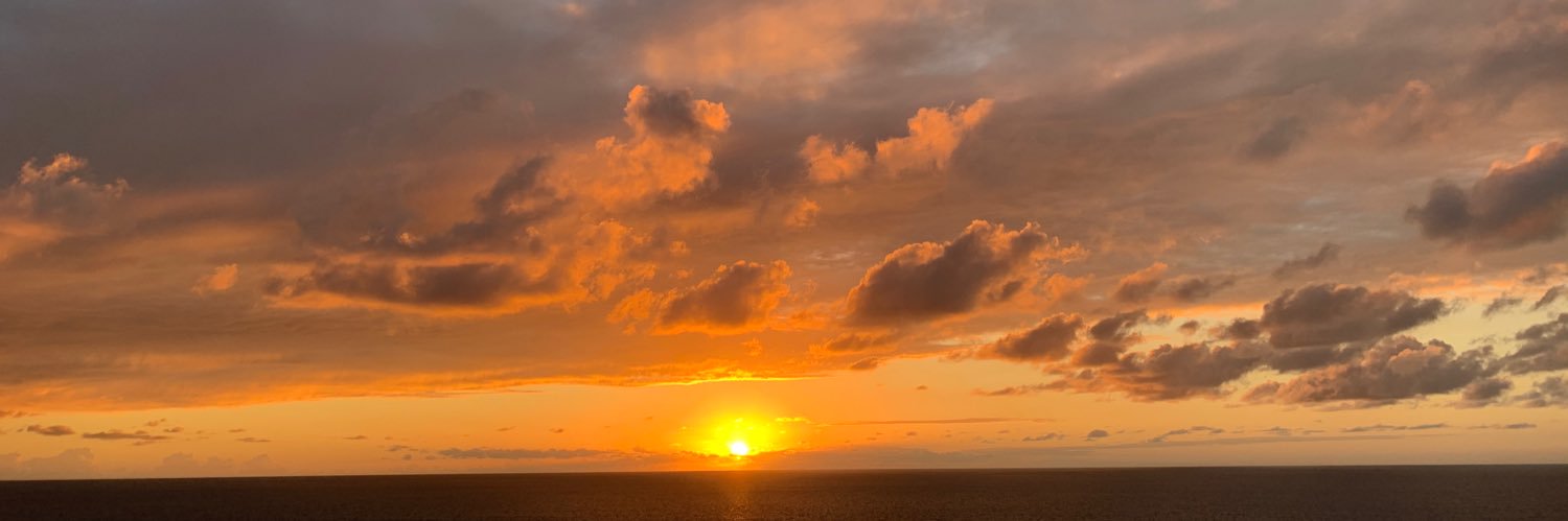 sallyshaw5's profile banner image