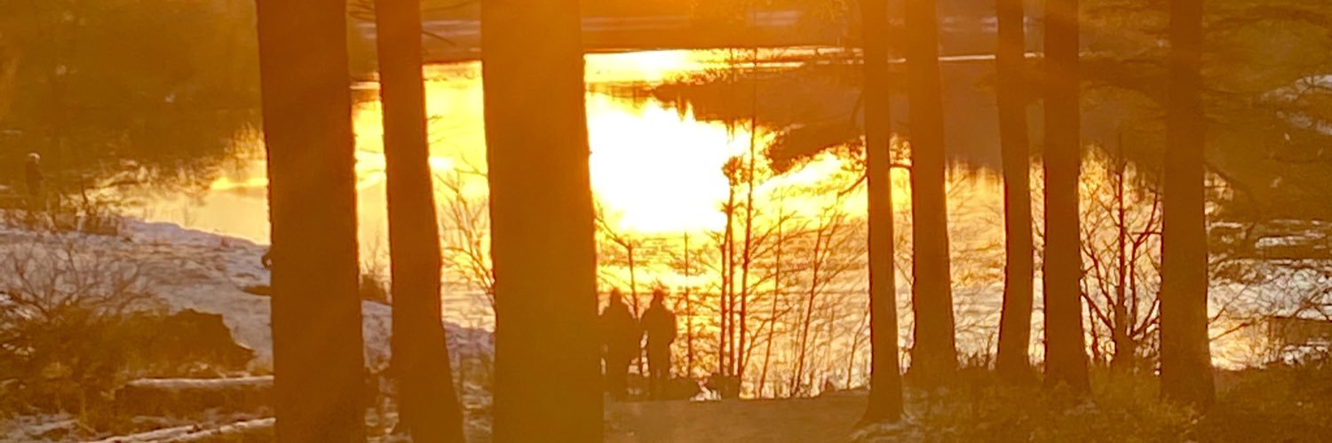 Dianne Wilson banner