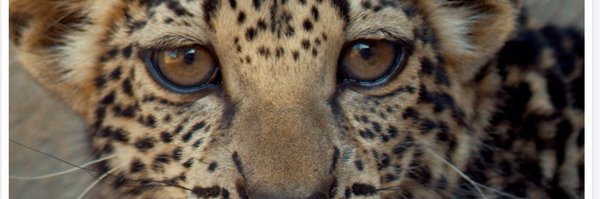omaimakhamis Profile Banner