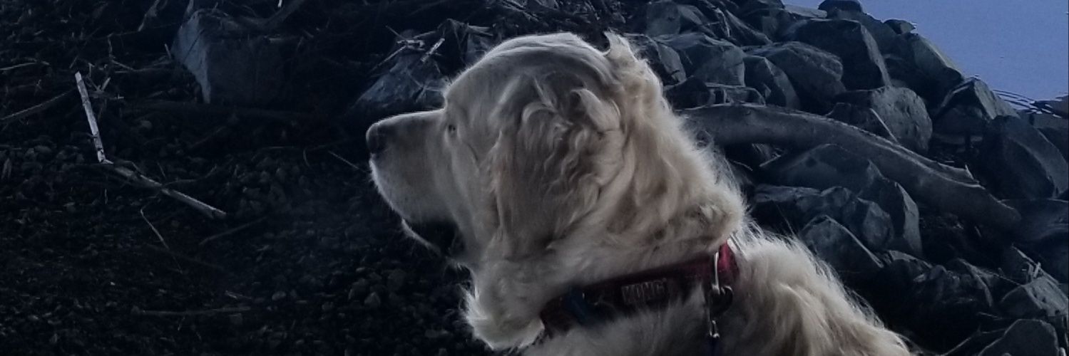 darynb63's profile banner image