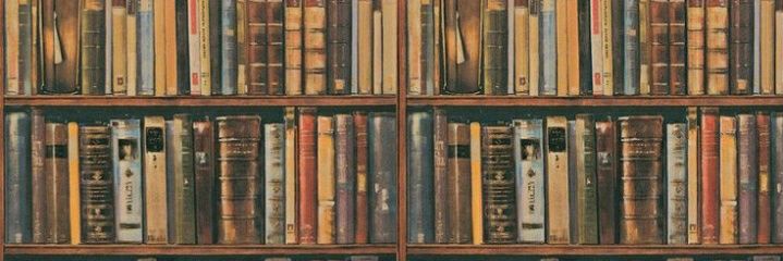 Lily in the Library banner