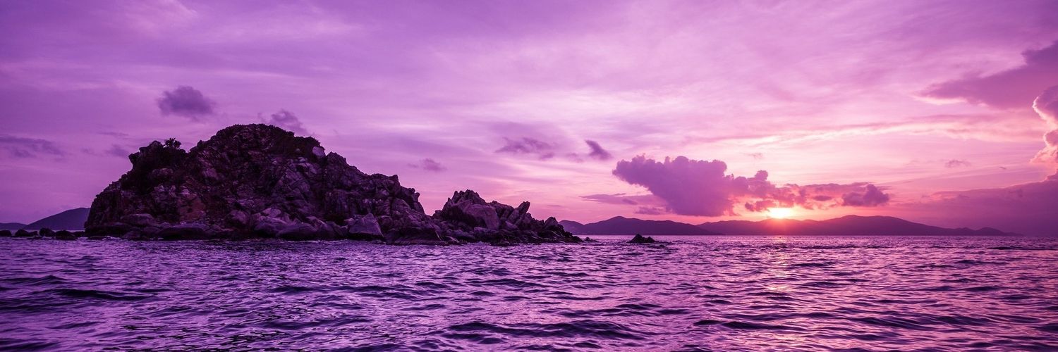 ᴠᴀɴᴇꜱᴀ ʙᴀɪʟʟʏ banner