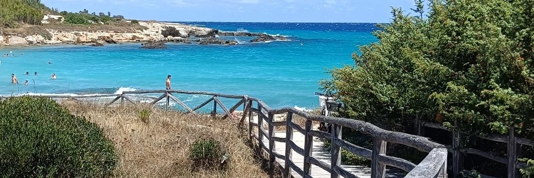 MatteoColazzo's profile banner image