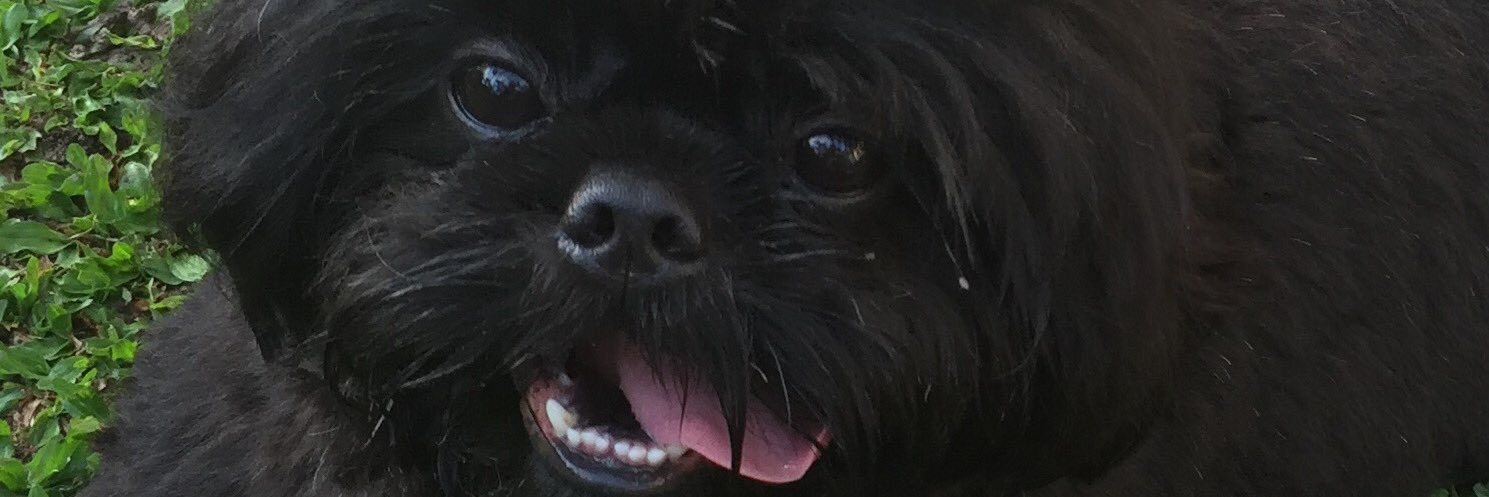 monalylah's profile banner image