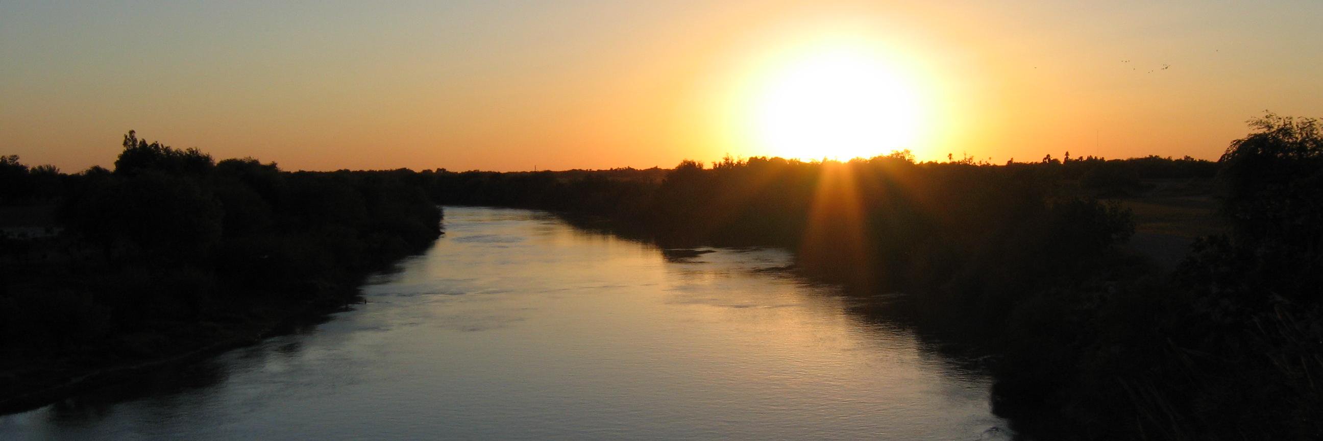 Maddy Mavrogordato banner