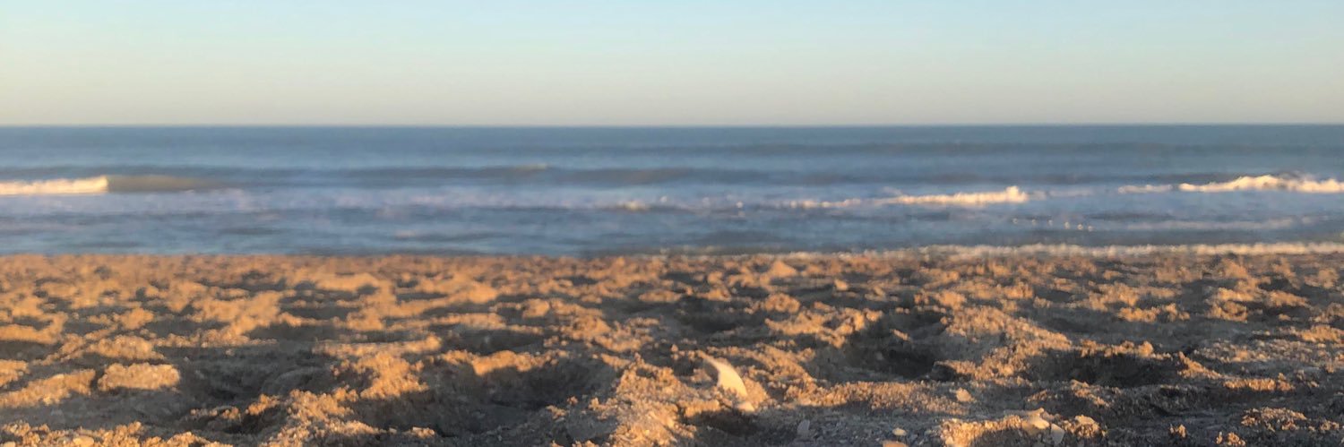 IrielPerissutti's profile banner image
