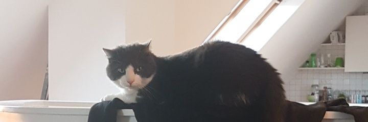 DerTiblis's profile banner image