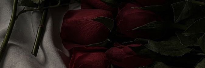 theebaeLAY's profile banner image