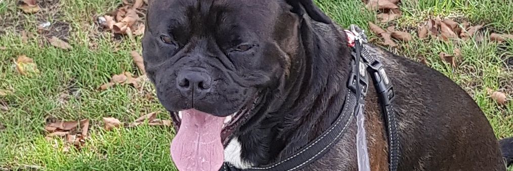GKClarky's profile banner image