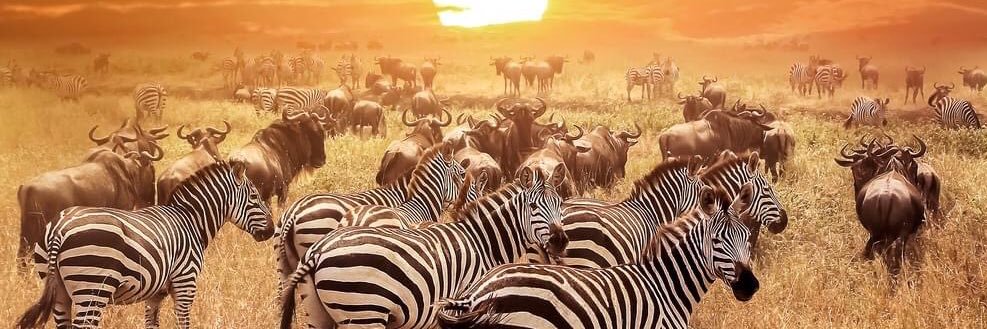 Ryanmufc90's profile banner image