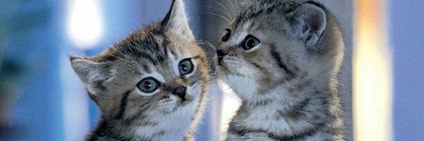 யாழினி banner