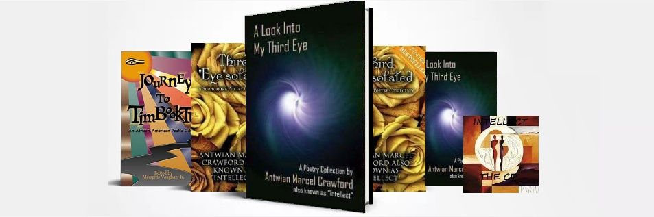Intellect_Poet's profile banner image