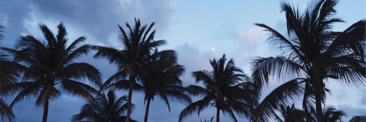 lauren stuart banner