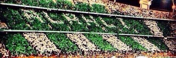 عاشق اهلاوي banner