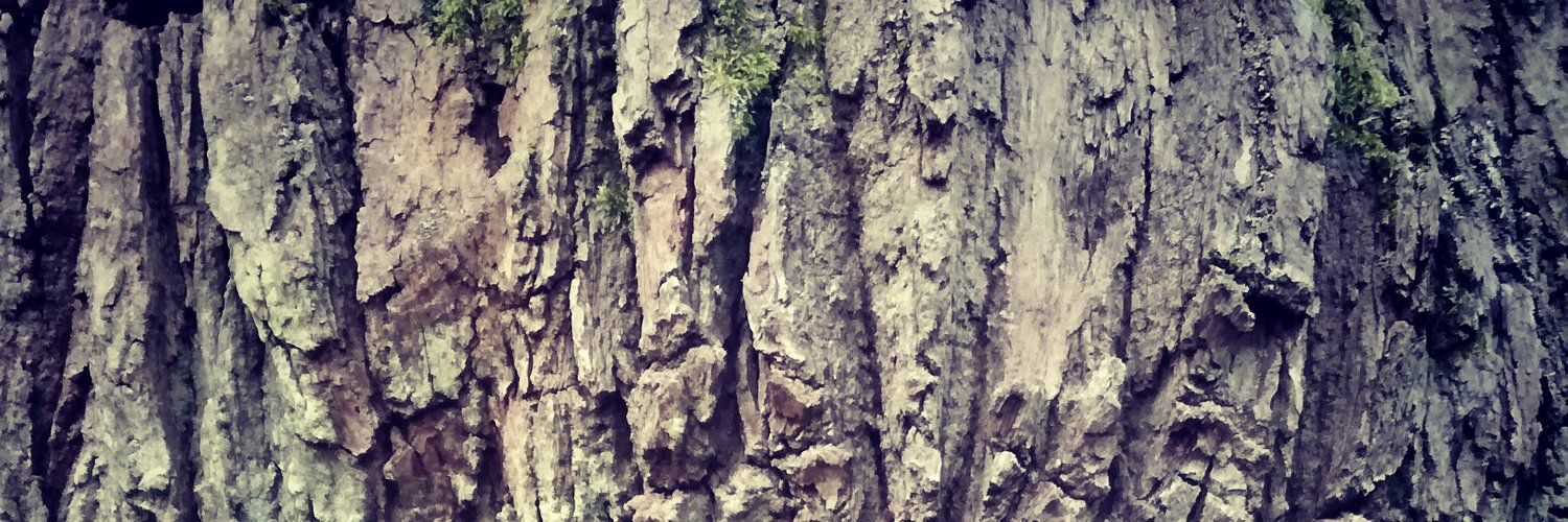 LauraaMullins's profile banner image