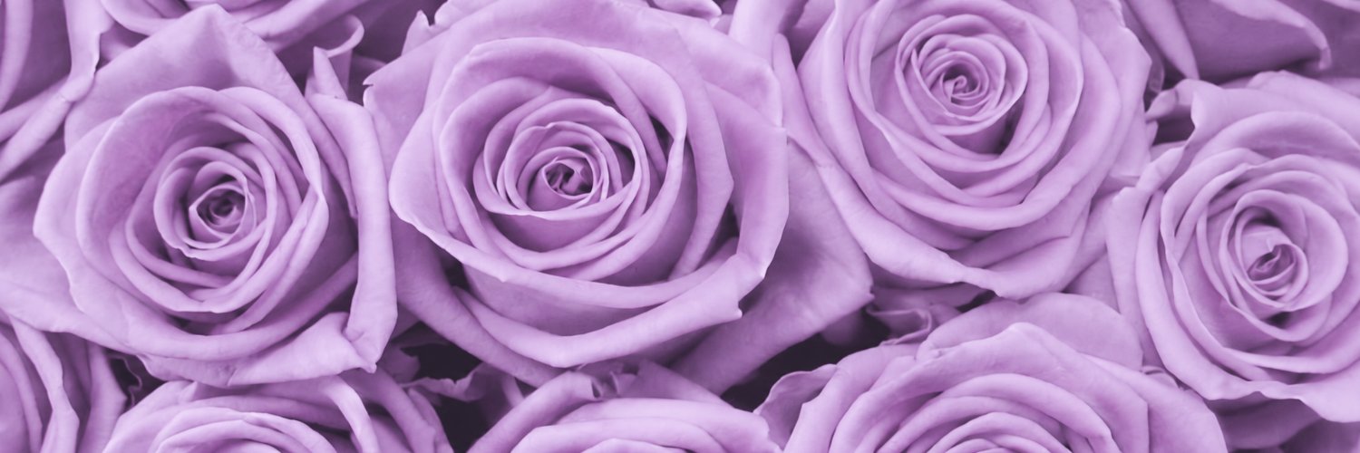 Netas1's profile banner image