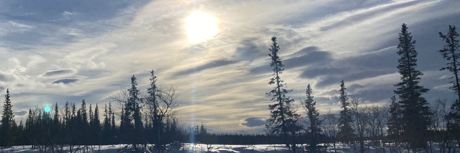 fazeelaselberg's profile banner image