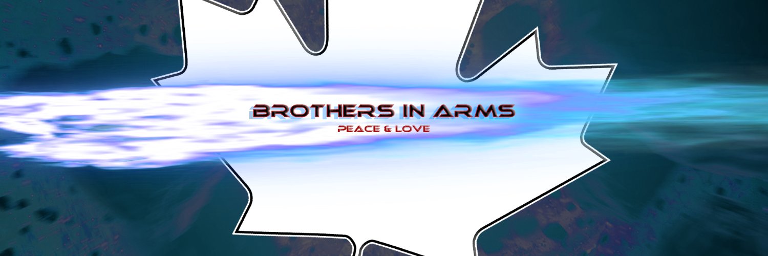 BrothersInArmsX's profile banner image