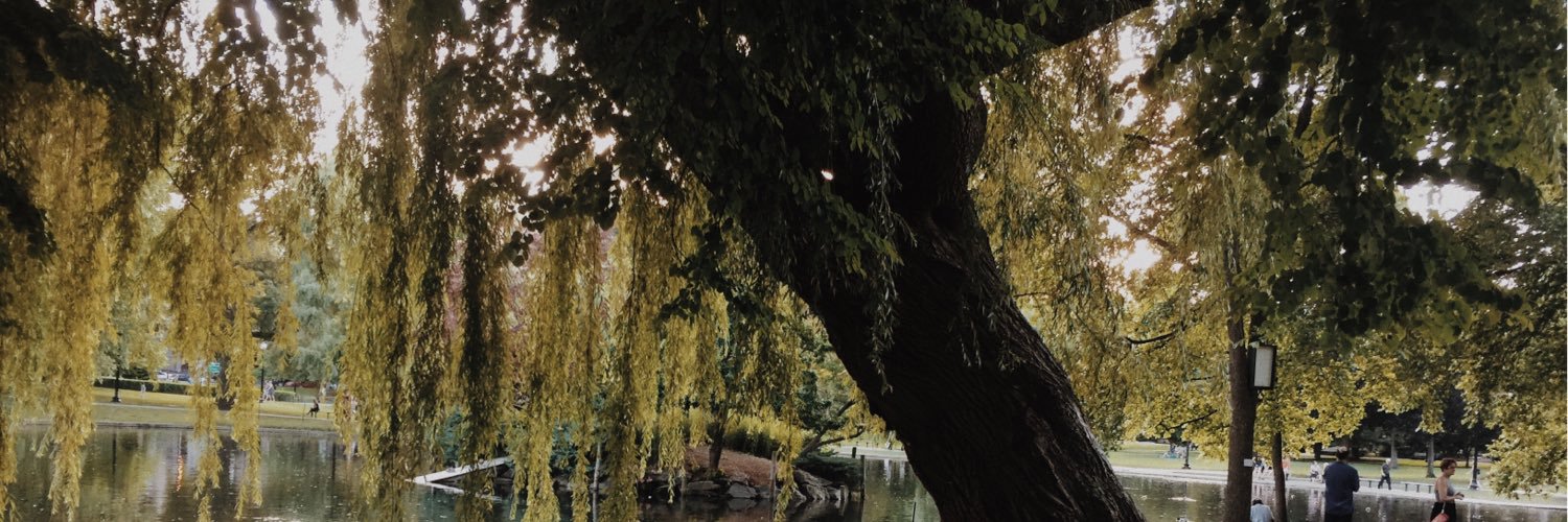 AllYDoIsWin_33's profile banner image