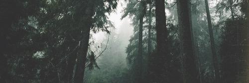 LBown9's profile banner image