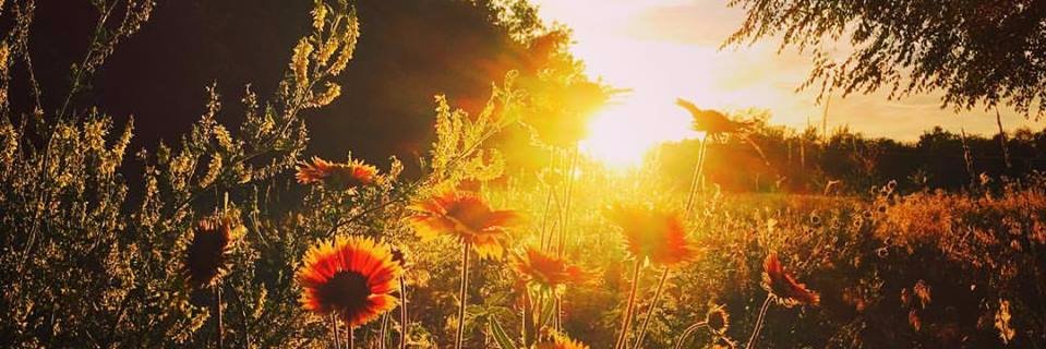 Maria_konstan's profile banner image