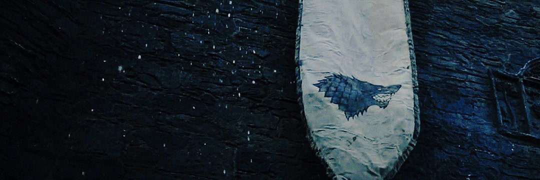 Lord Stark banner