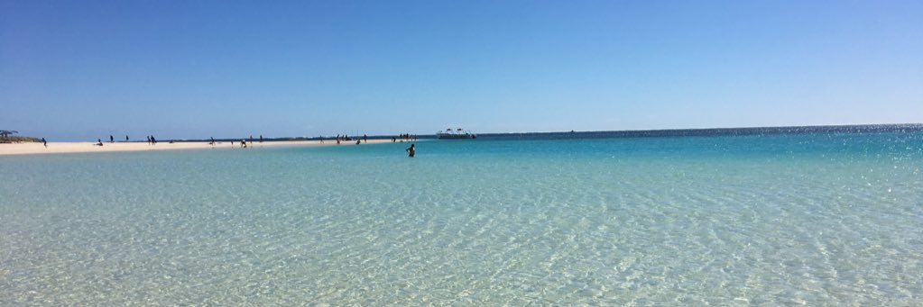 elsray_x's profile banner image