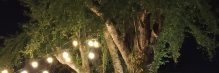 nitachung's profile banner image