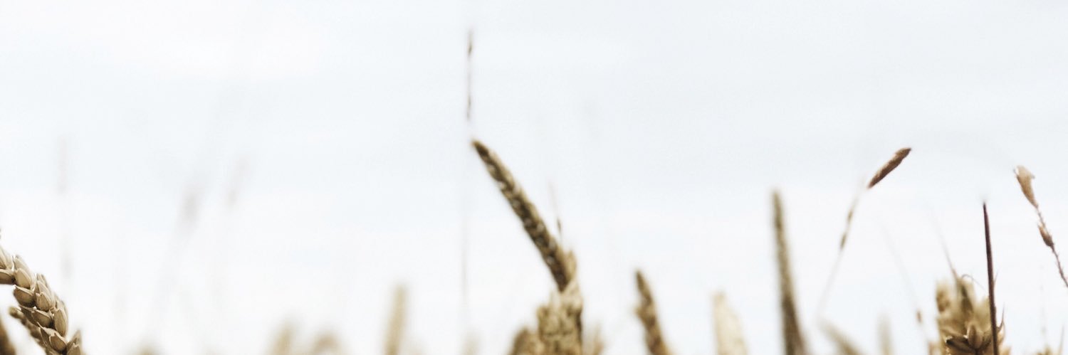 ellakaate's profile banner image