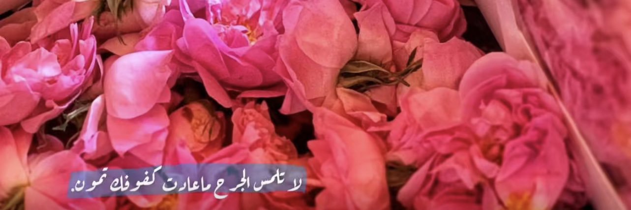 hafo4ever's profile banner image