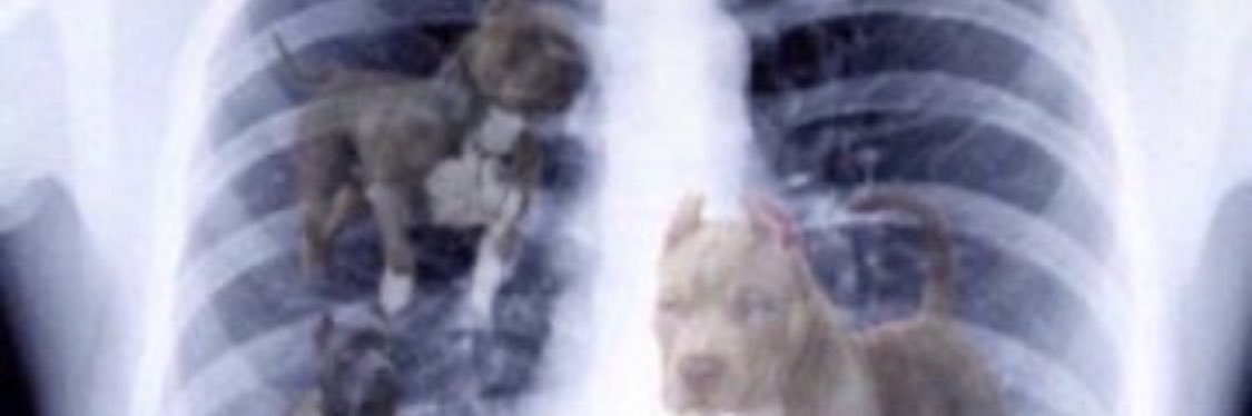 akbeensteppin's profile banner image