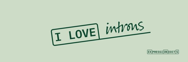 tombergk Profile Banner