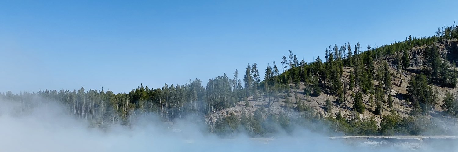 Cameron McAlees banner